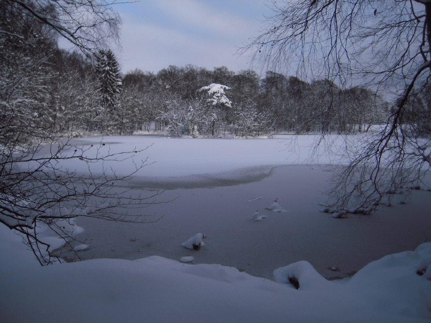 Skovfoged Dam vinter